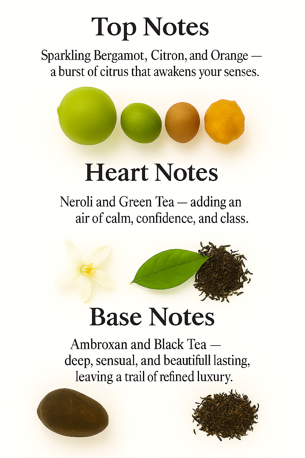 Dream Catcher - Inspired by Louise Vuitton Imagination